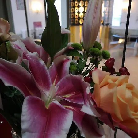 Trianon Hotel Tours