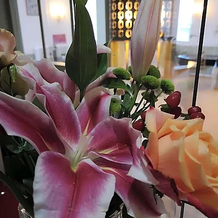 Trianon Hotel Tours